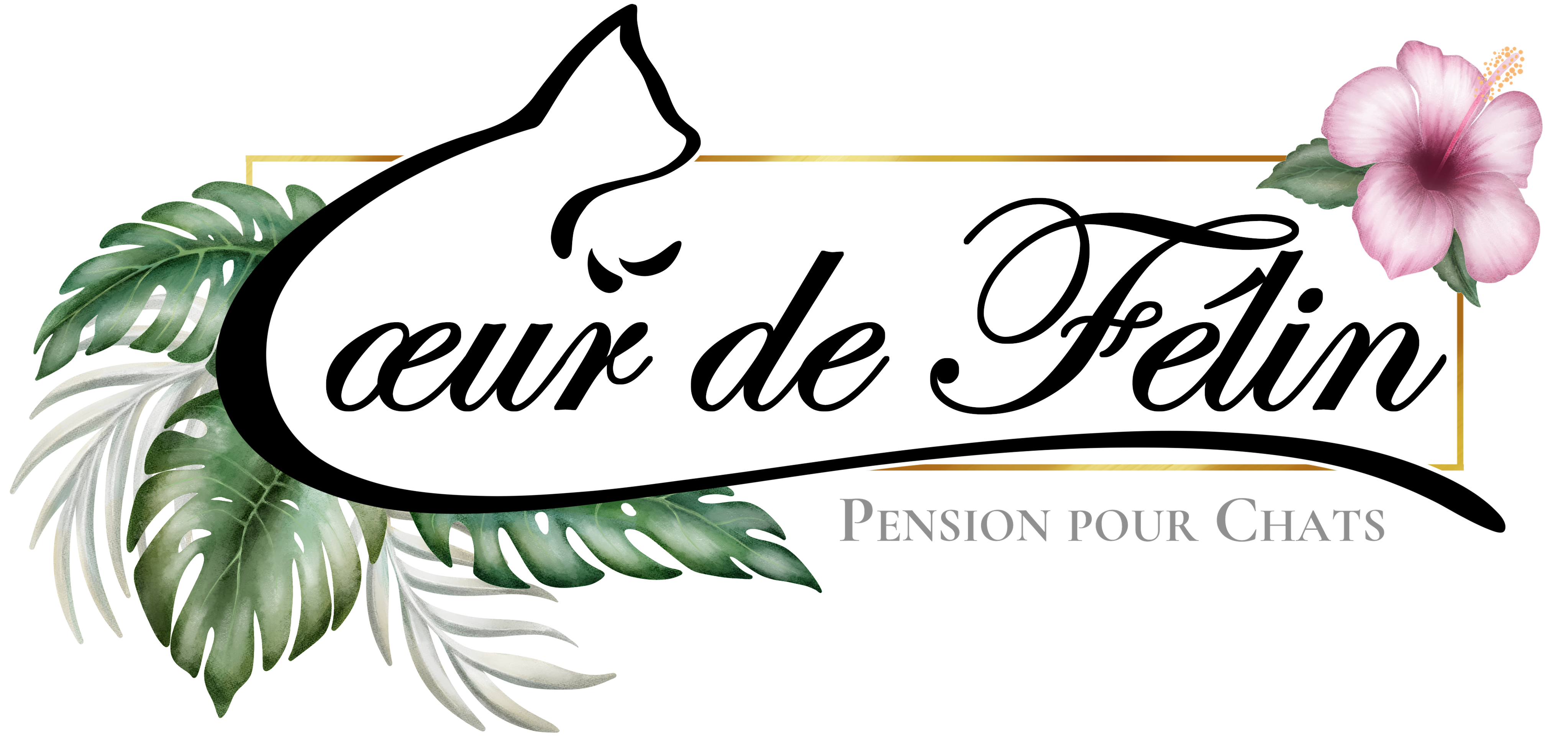 Pension Cœur de Félin